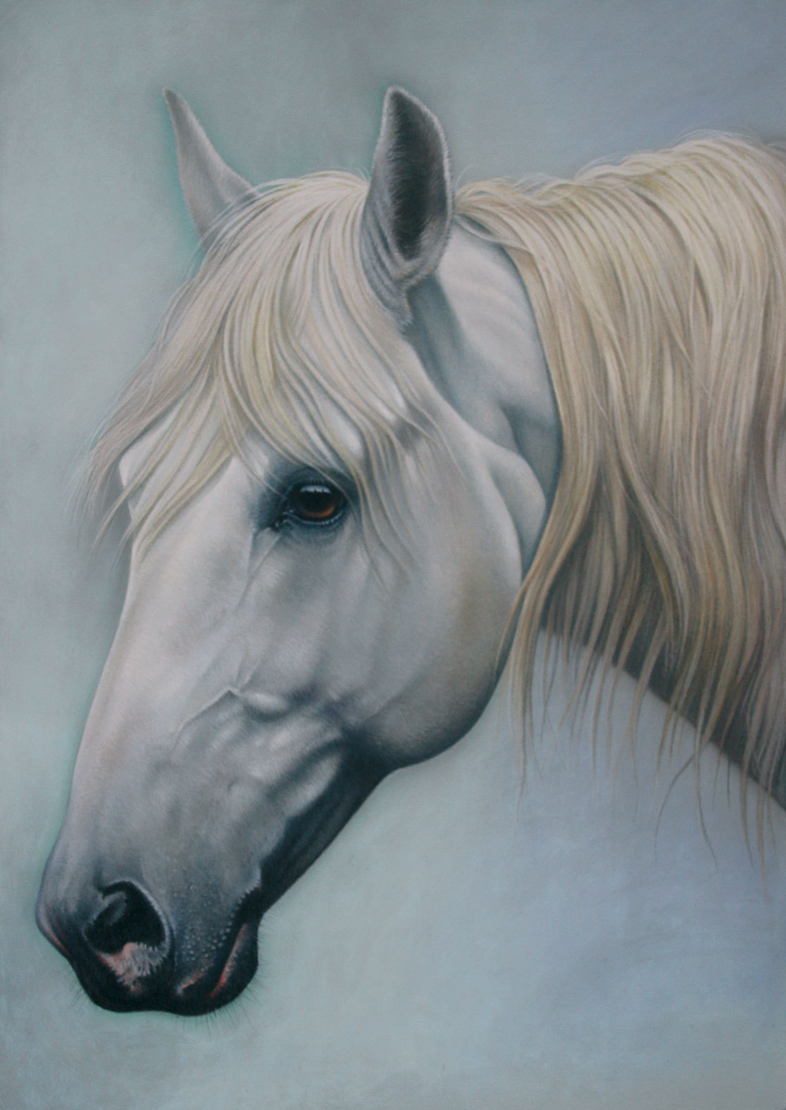 Peinture Cheval blanc de profil