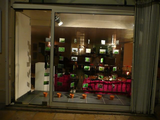 Dispositifs, parcours de l'Art