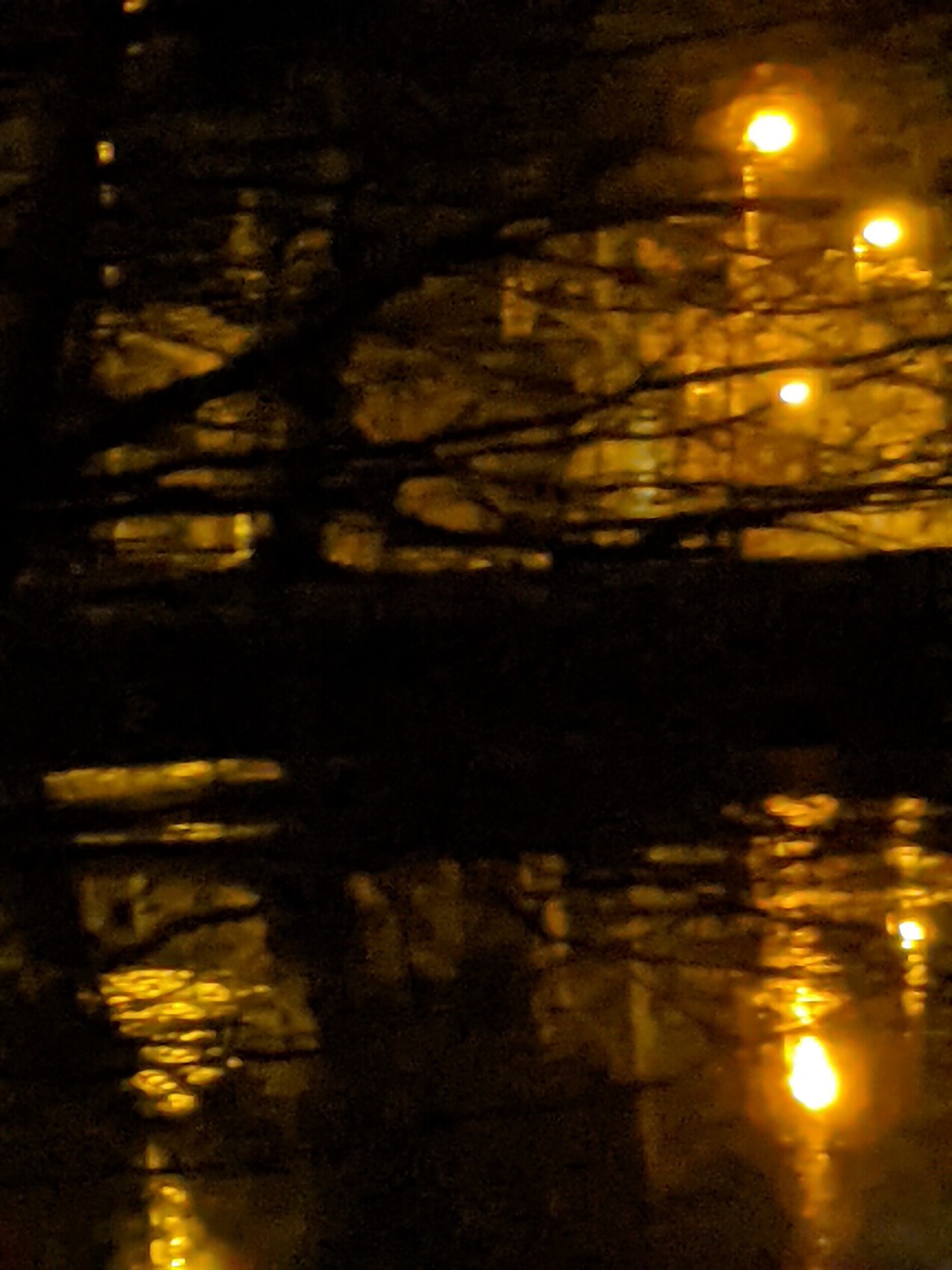 Peinture La nuit magique