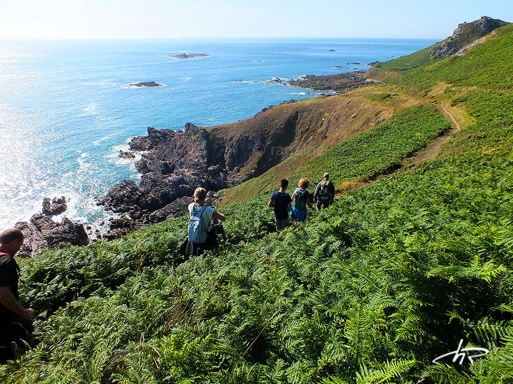 Photo Sentier des douaniers sur les falaises de la Hague