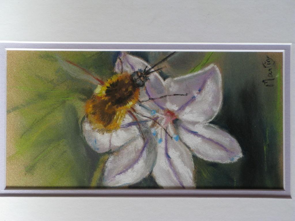 Telecharger Sous Titre Vostfr La Fleur Et La Bete