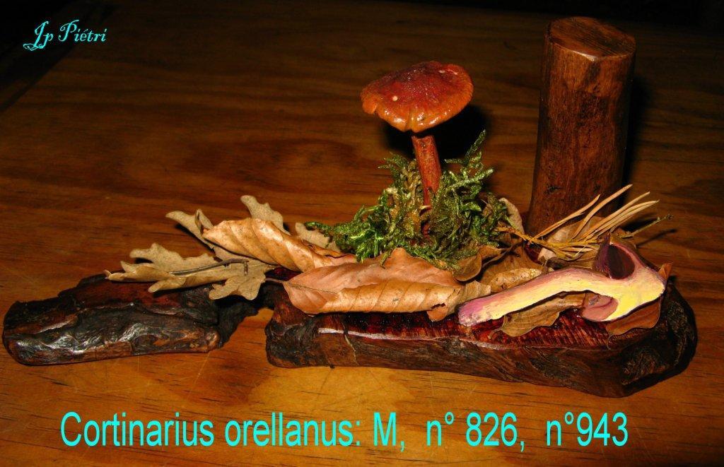 Sculpture Cortinarius orellanus