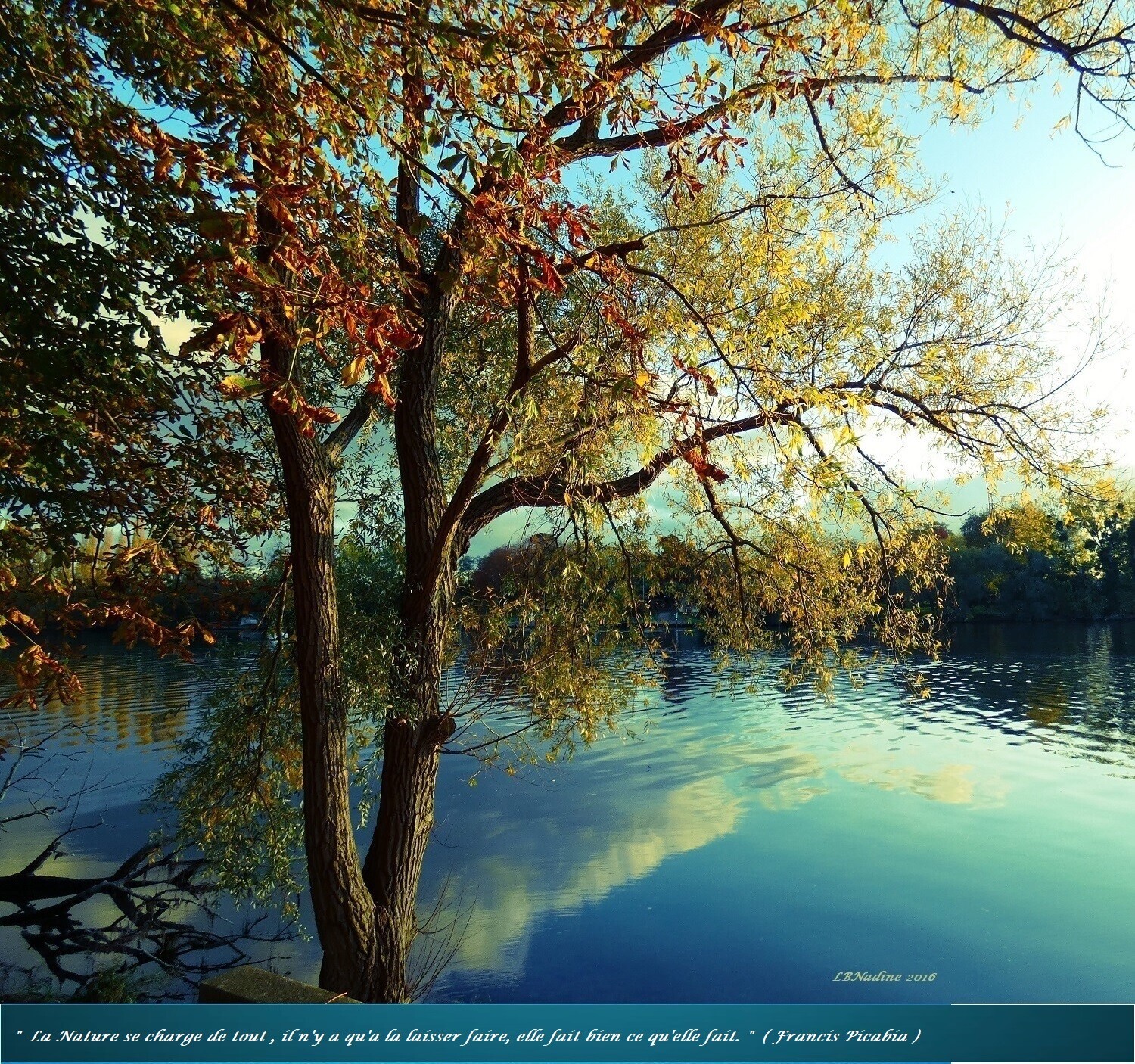 Photo au bord de l'eau..