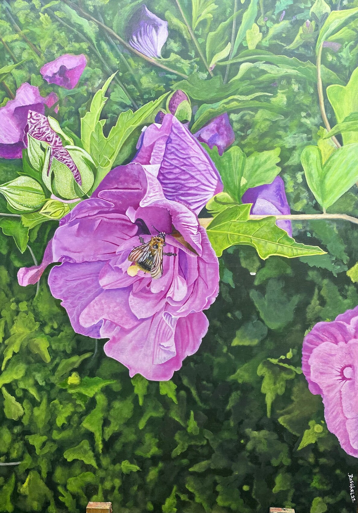 Peinture Hacaliptus lux