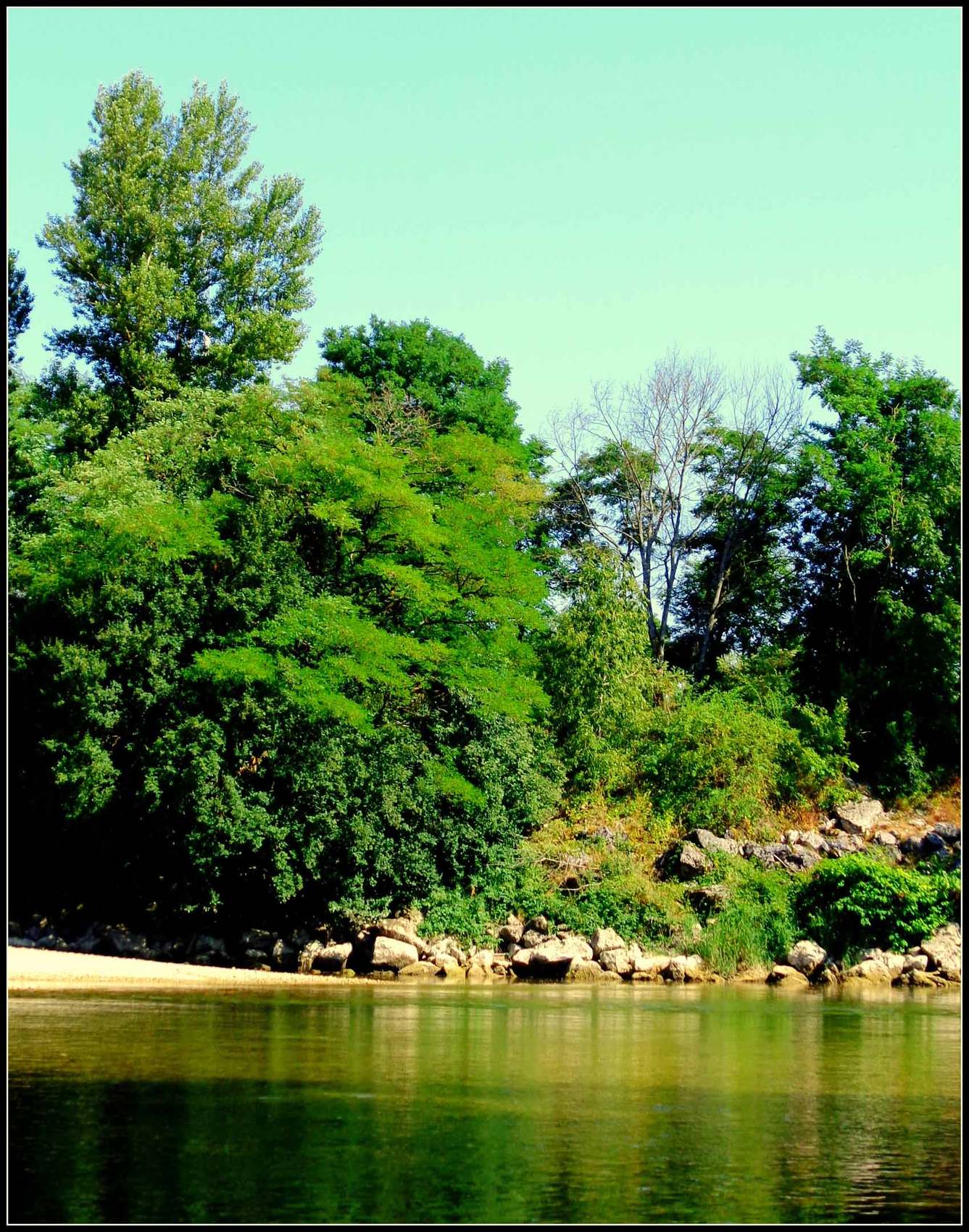 Photo Rivière d’Ain, verticale