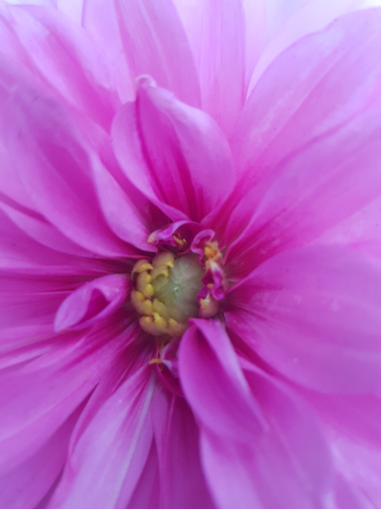 Photo Secret bien gardé