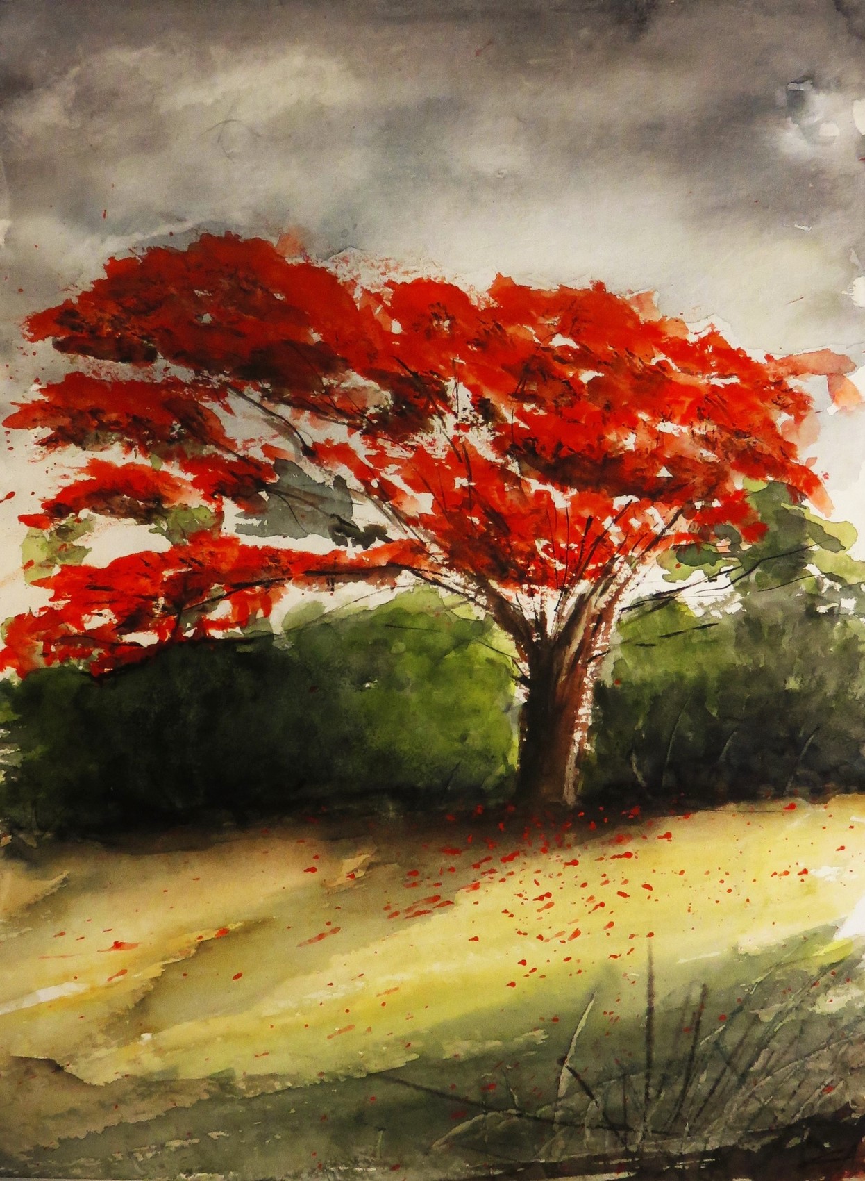 L'arbre rouge