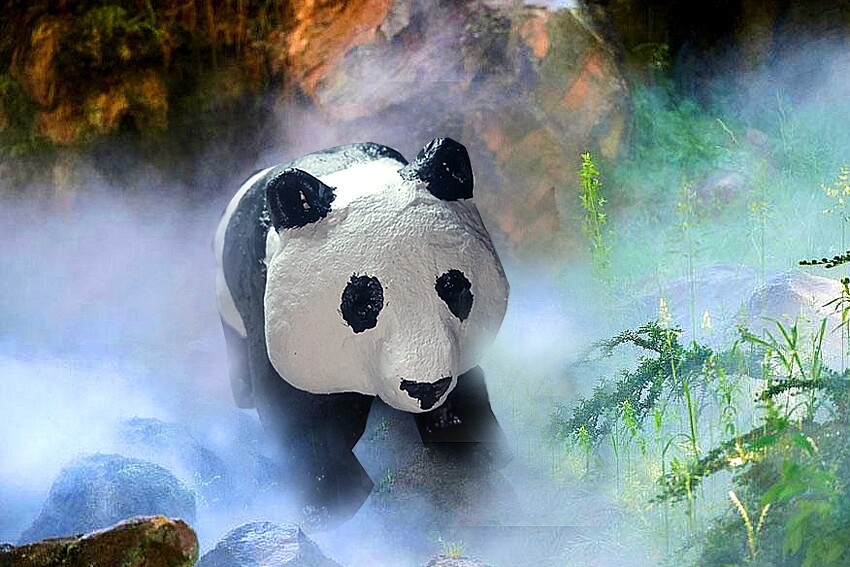 MR pandi Panda