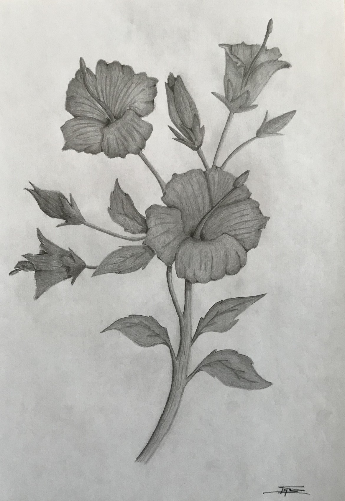 Dessin Souvenir de Tahiti .. noir et blanc