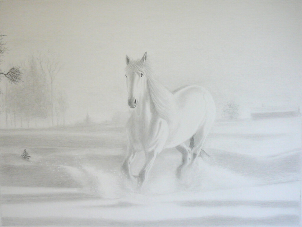 Un cheval blanc dans la neige par un matin embrumé