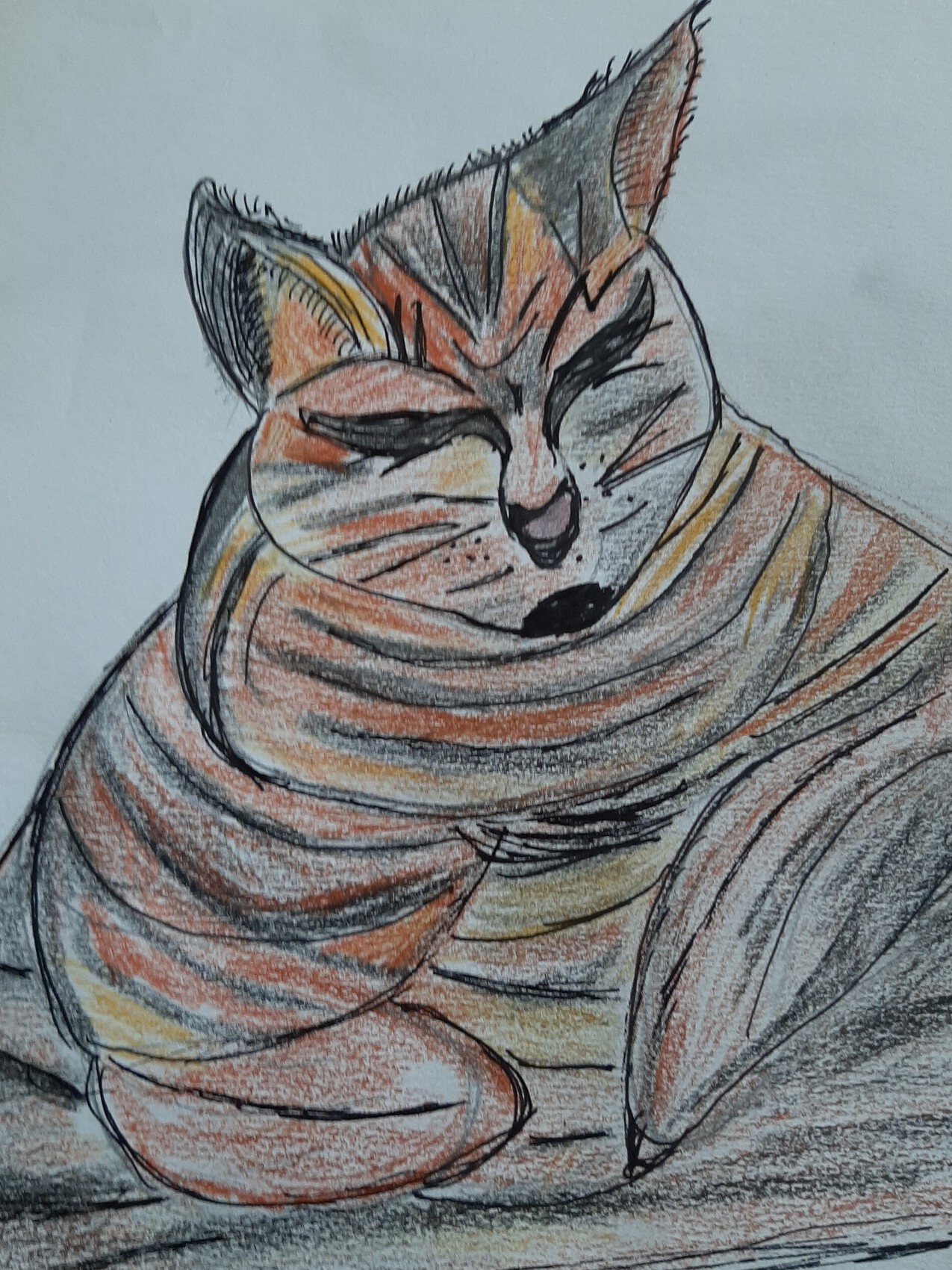 Dessin Chat Tigre Endormi Aux Pattes Repliees