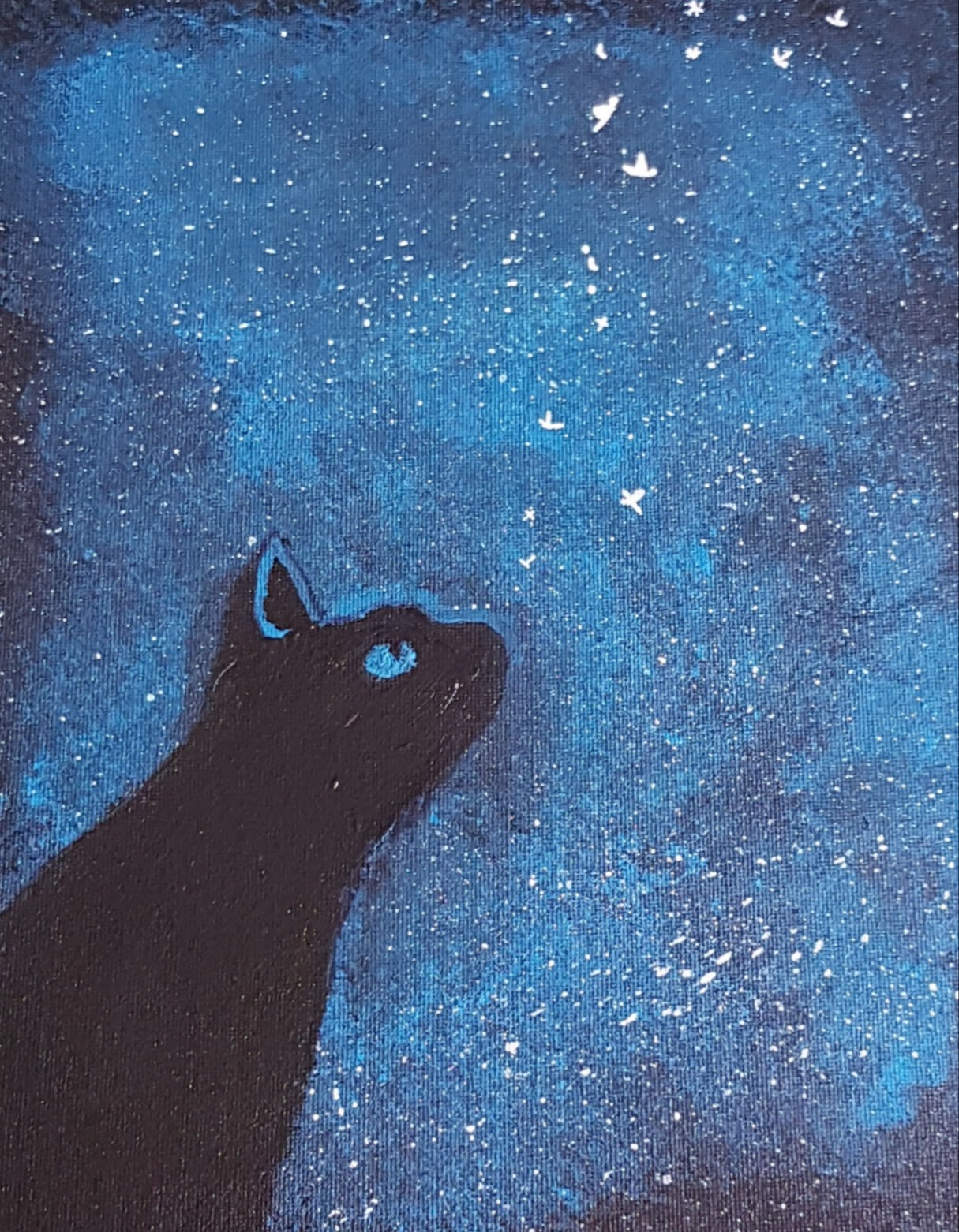 Chat et la nuit étoilée