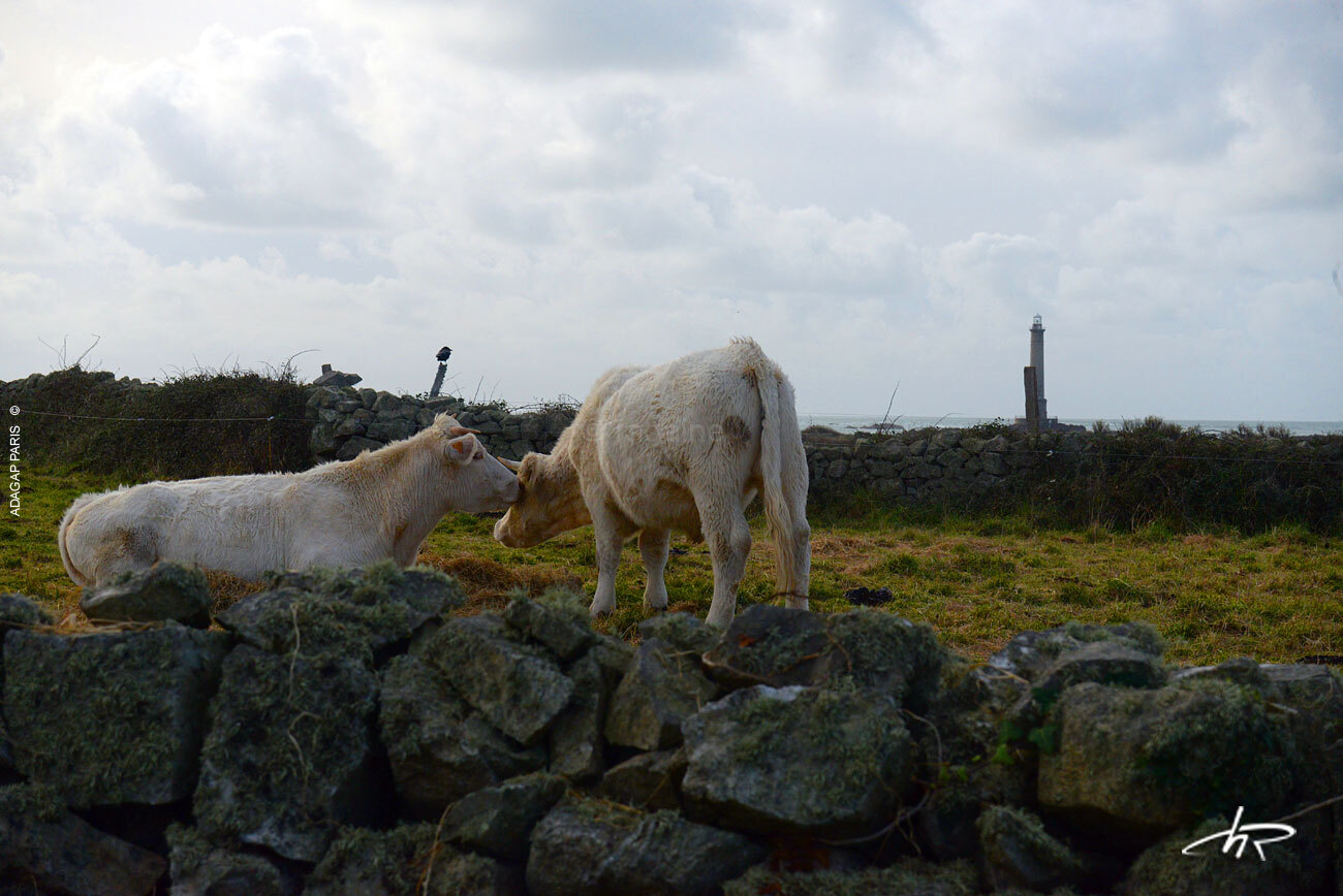 Photo Bouche à oreille