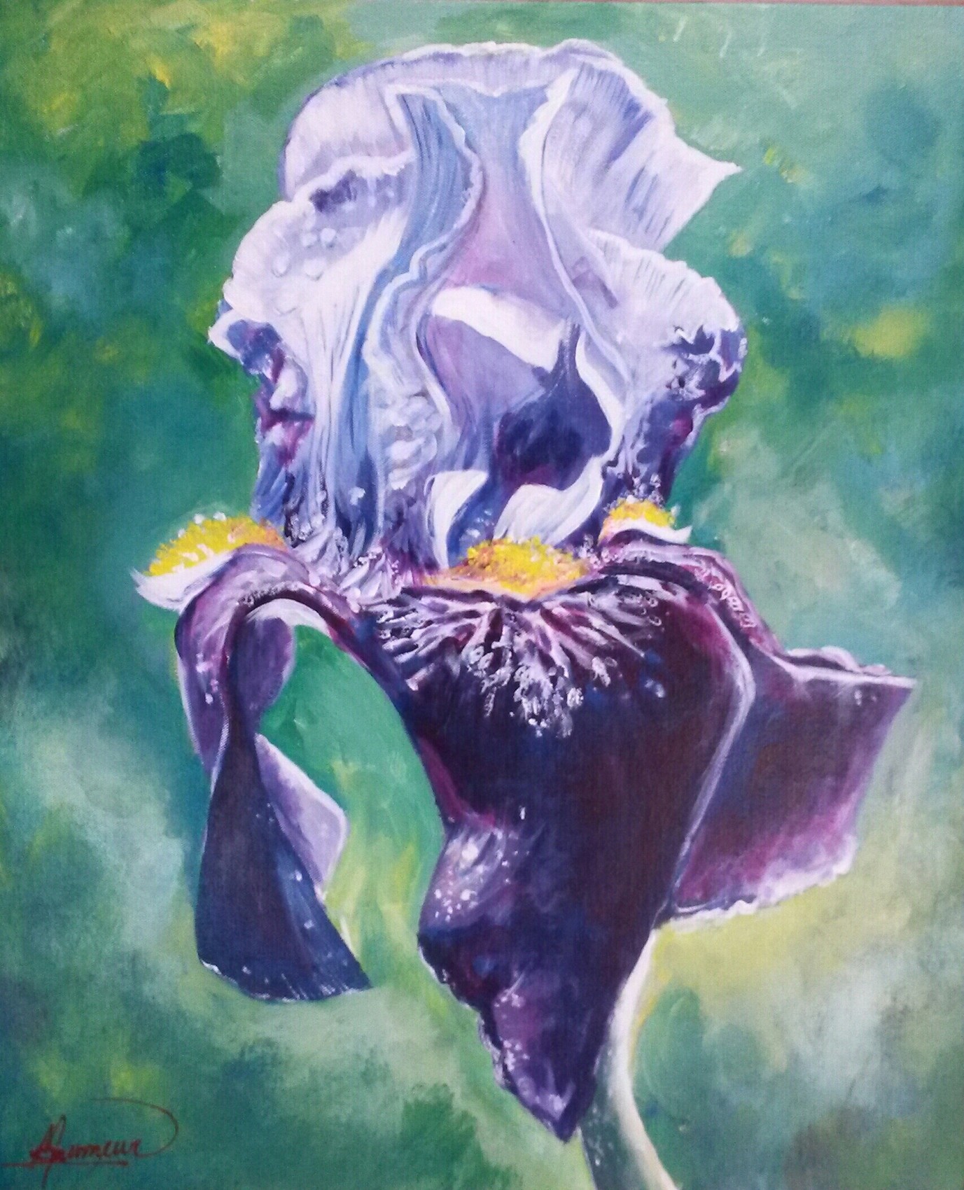 Peinture iris