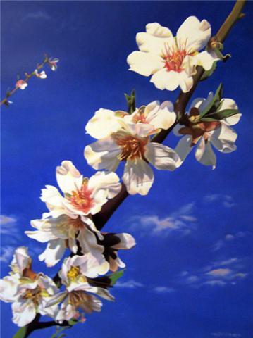 Peinture fleurs d'amendier
