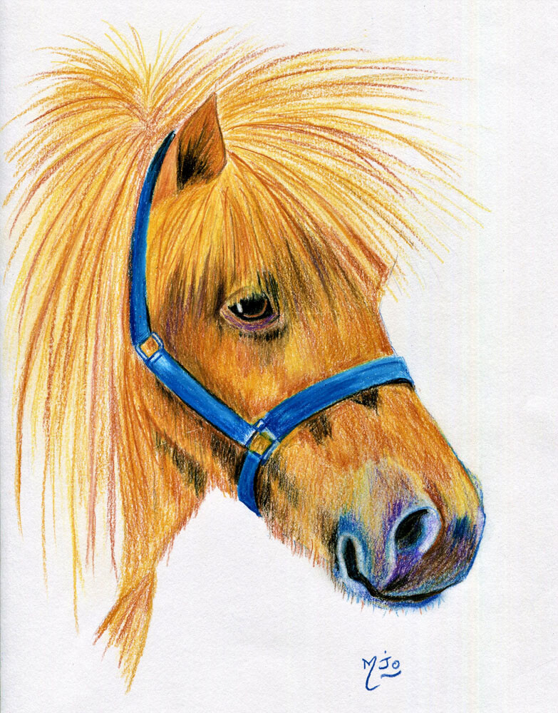 Dessin Petit poney