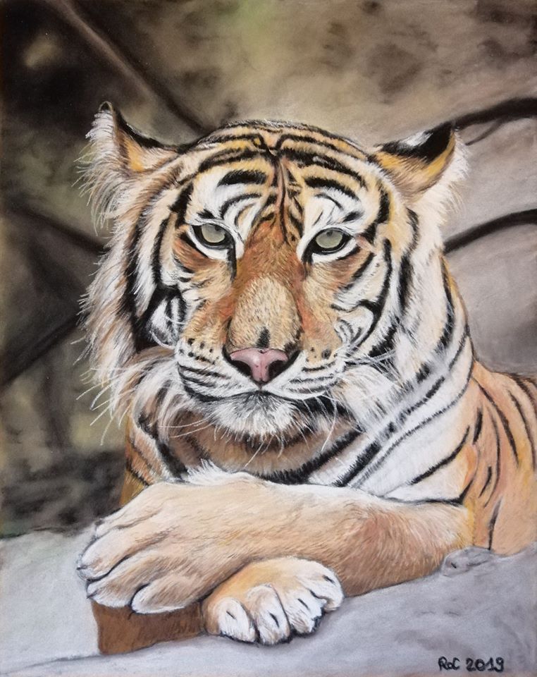 Dessin Tiger