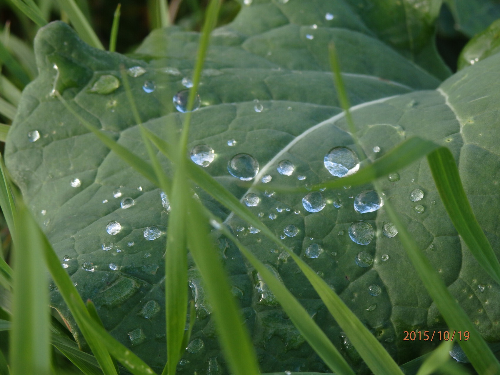 Photo Après la pluie