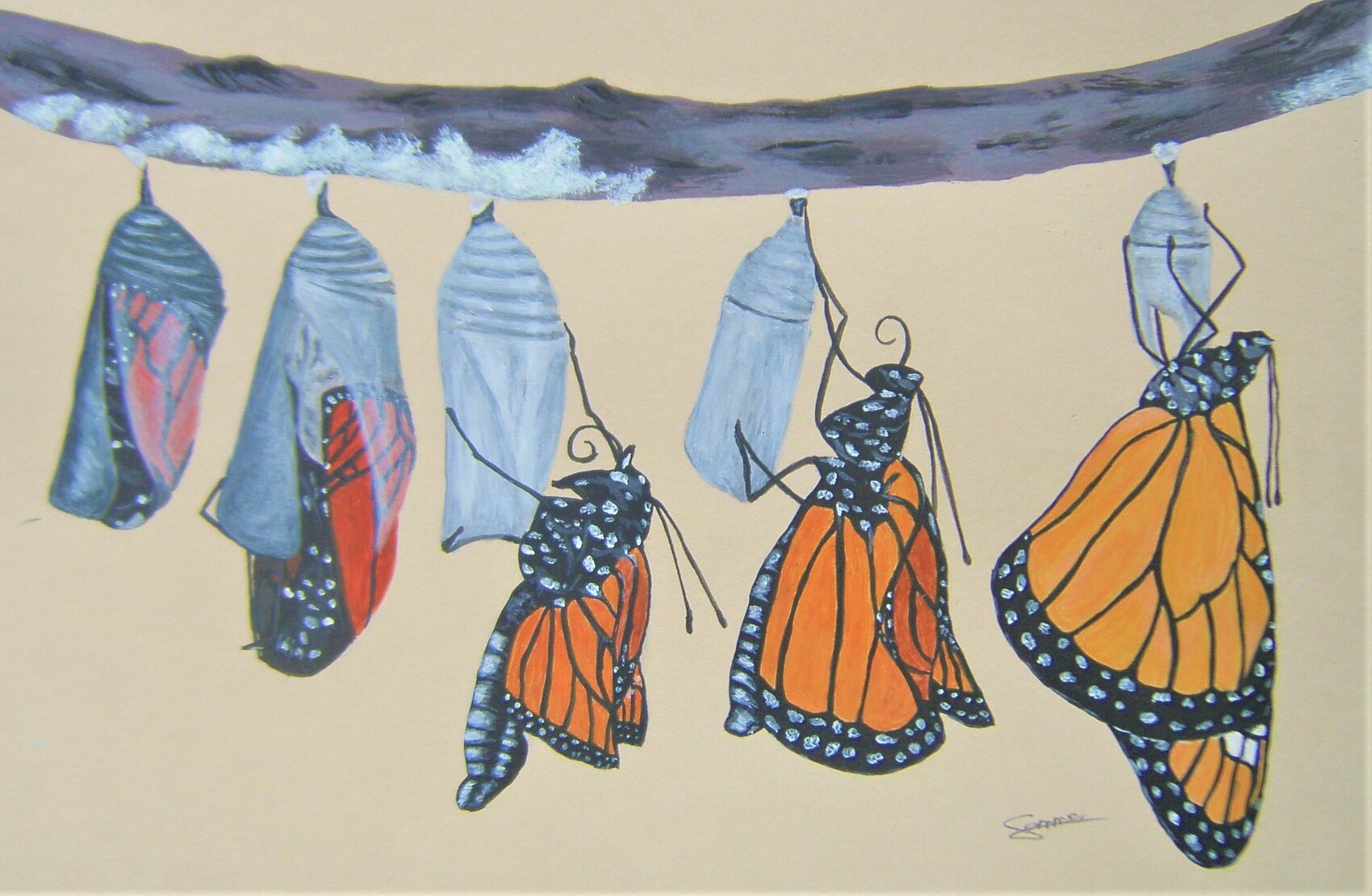 Peinture From chrysalis to butterfly