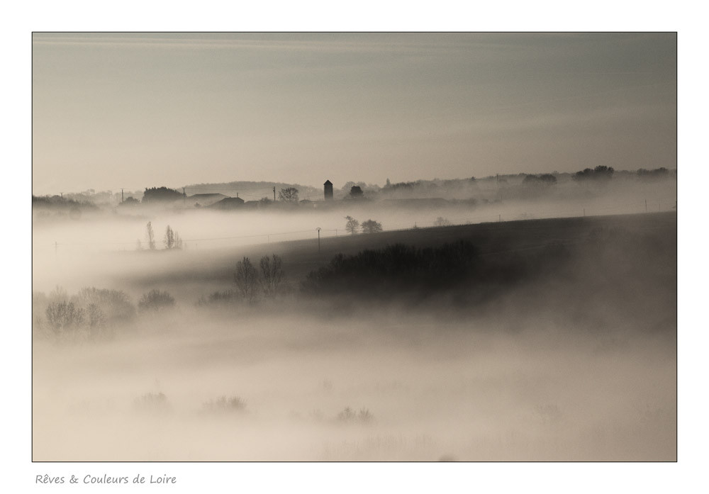 Photo Coteaux de la Loire
