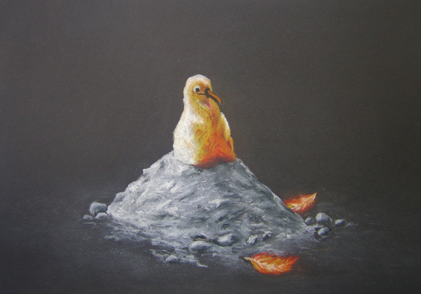 Oiseau Capable De Renaître De Ses Cendres