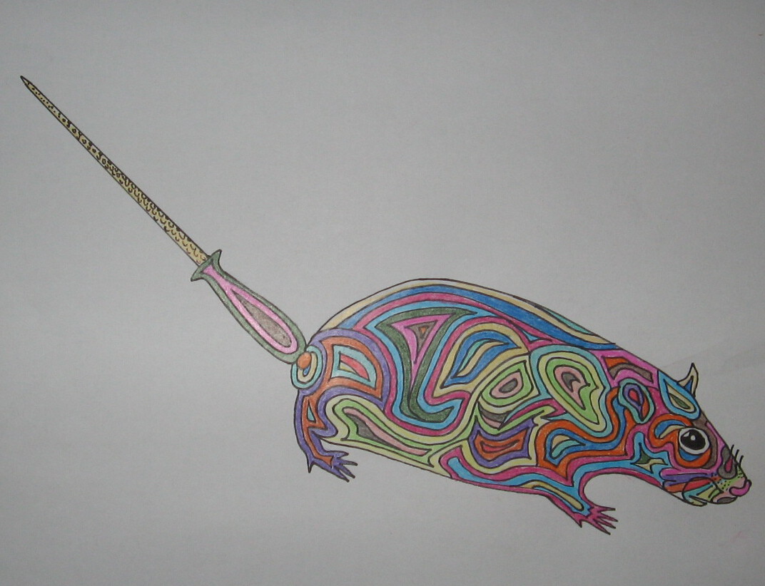 Queue De Cheval Ou Queue De Rat