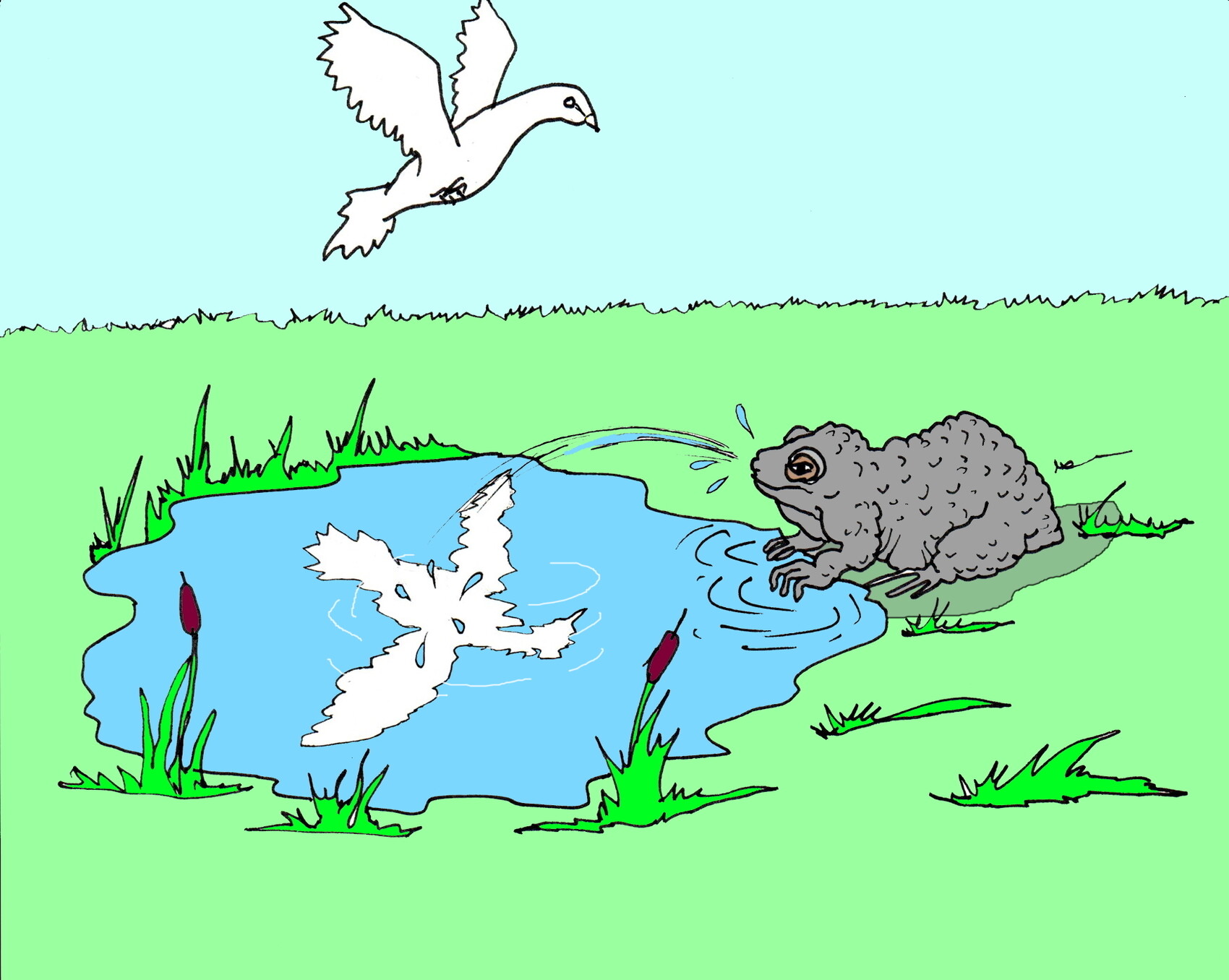 Dessin Crapaud