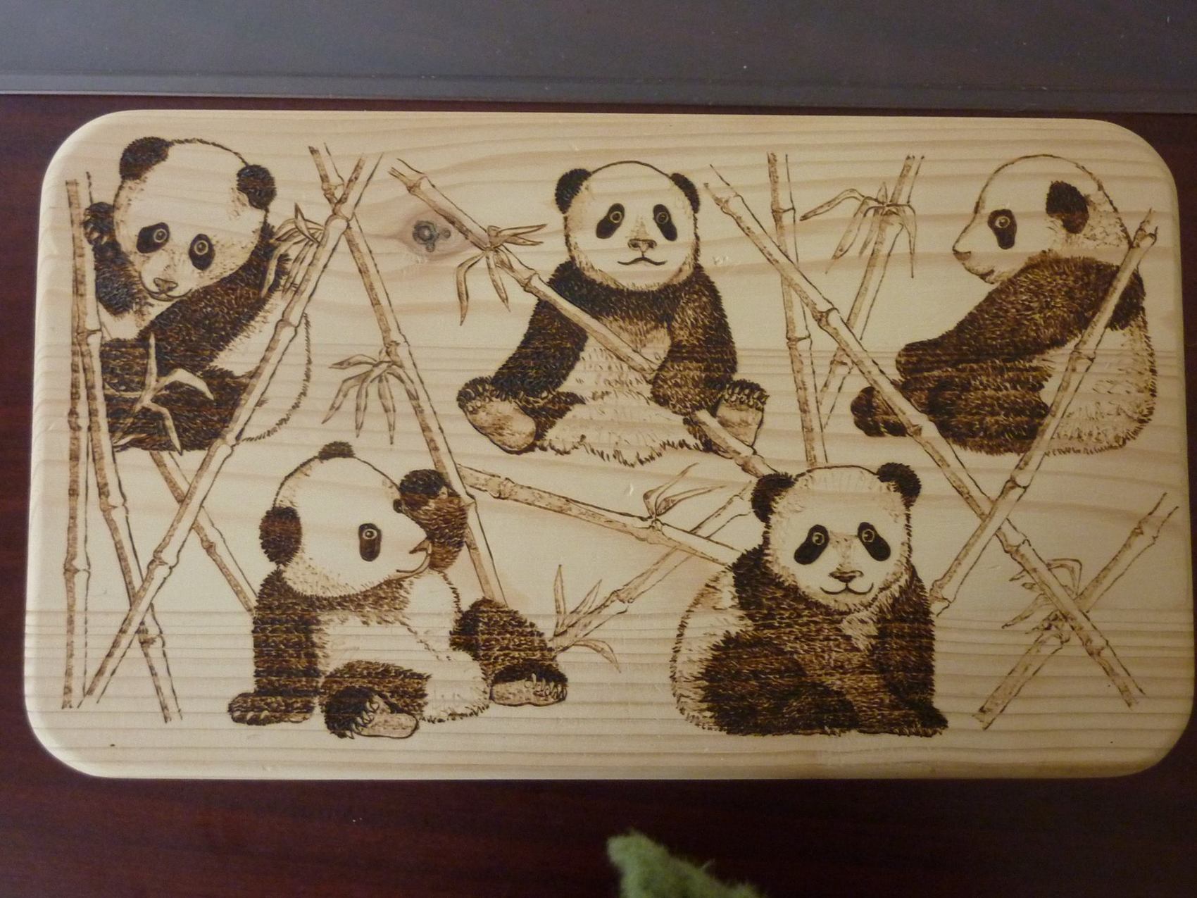 les petits pandas