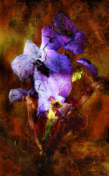 Peinture Iris