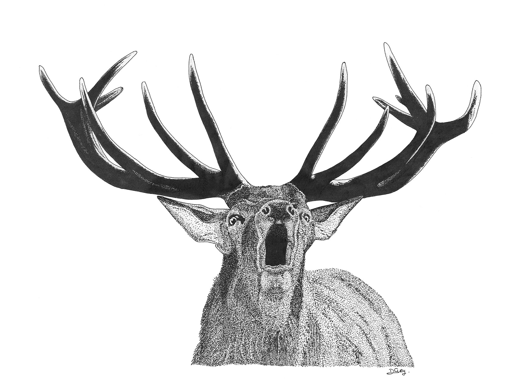 Dessin Le brame du Cerf