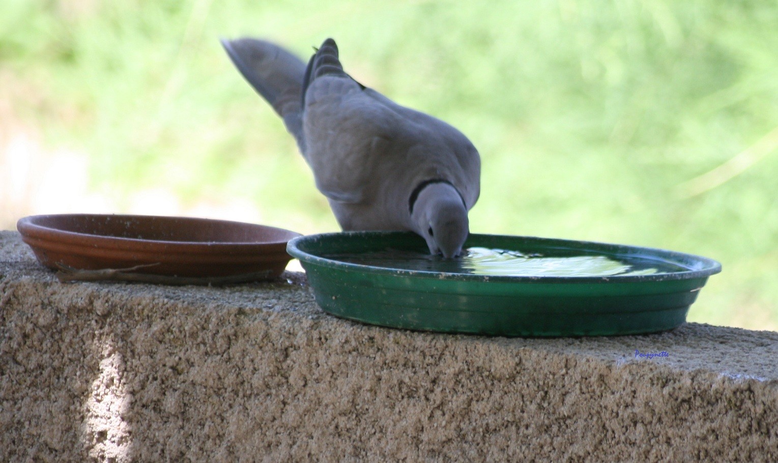 Photo J'AI SOIF !!! Et ALORS