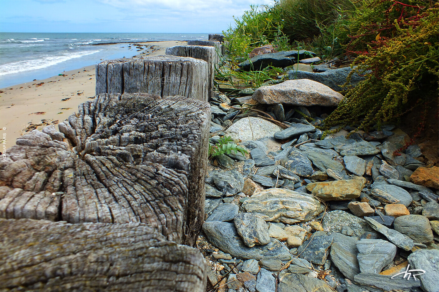 Protege Cote Karting Gilet De Karting Adulte - Protection Réglable