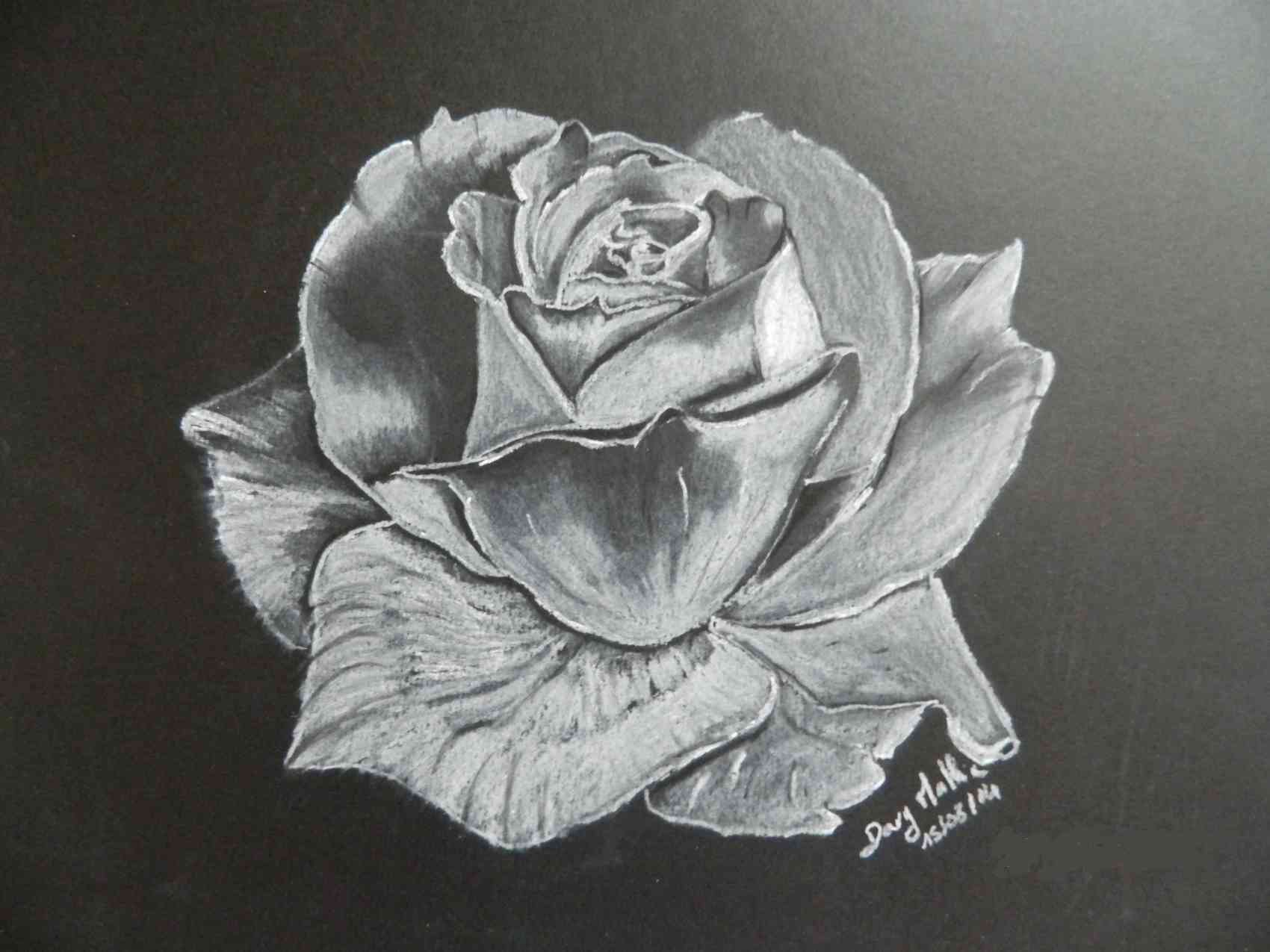 la rose