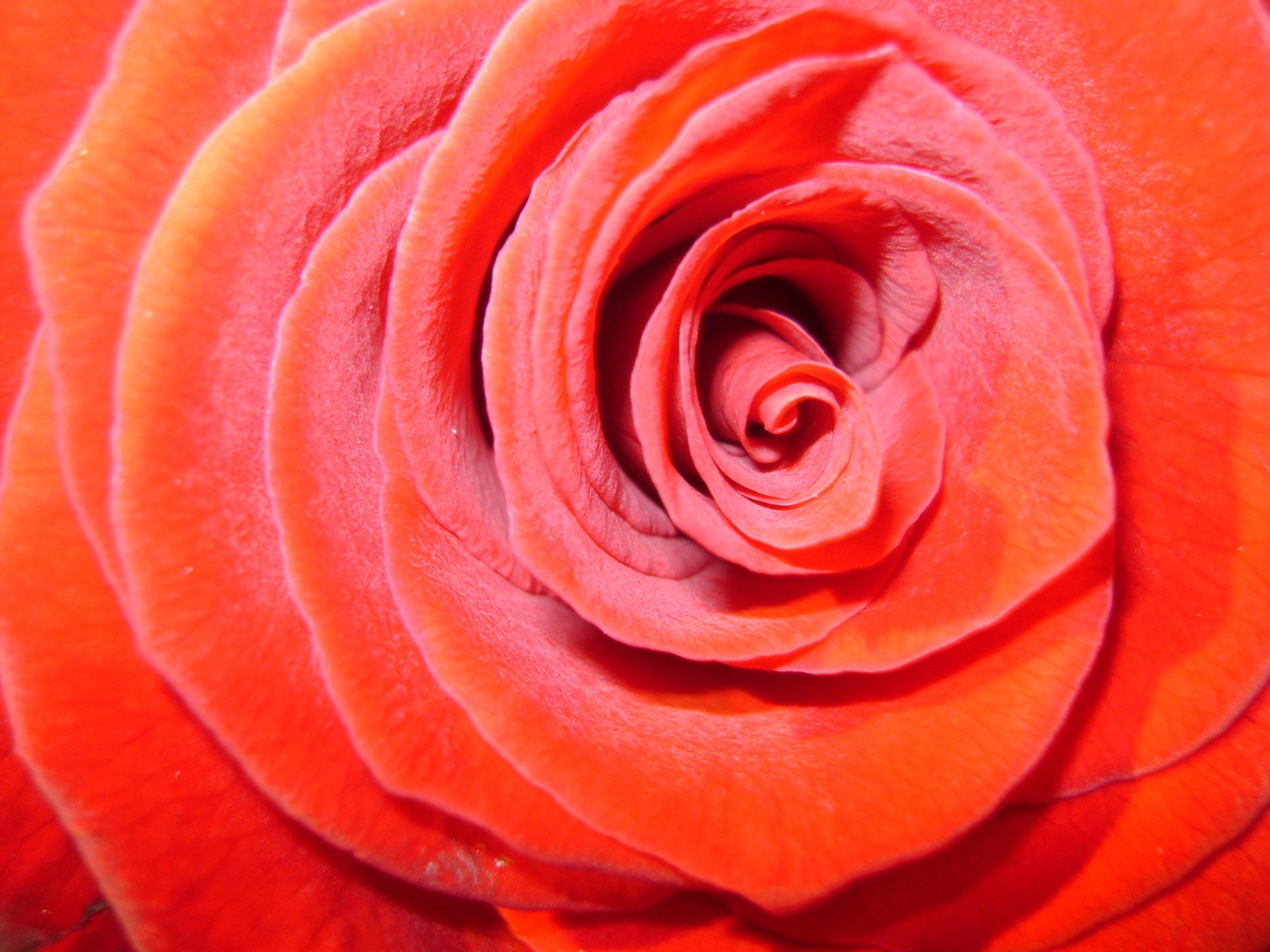 Photo coeur de pierre