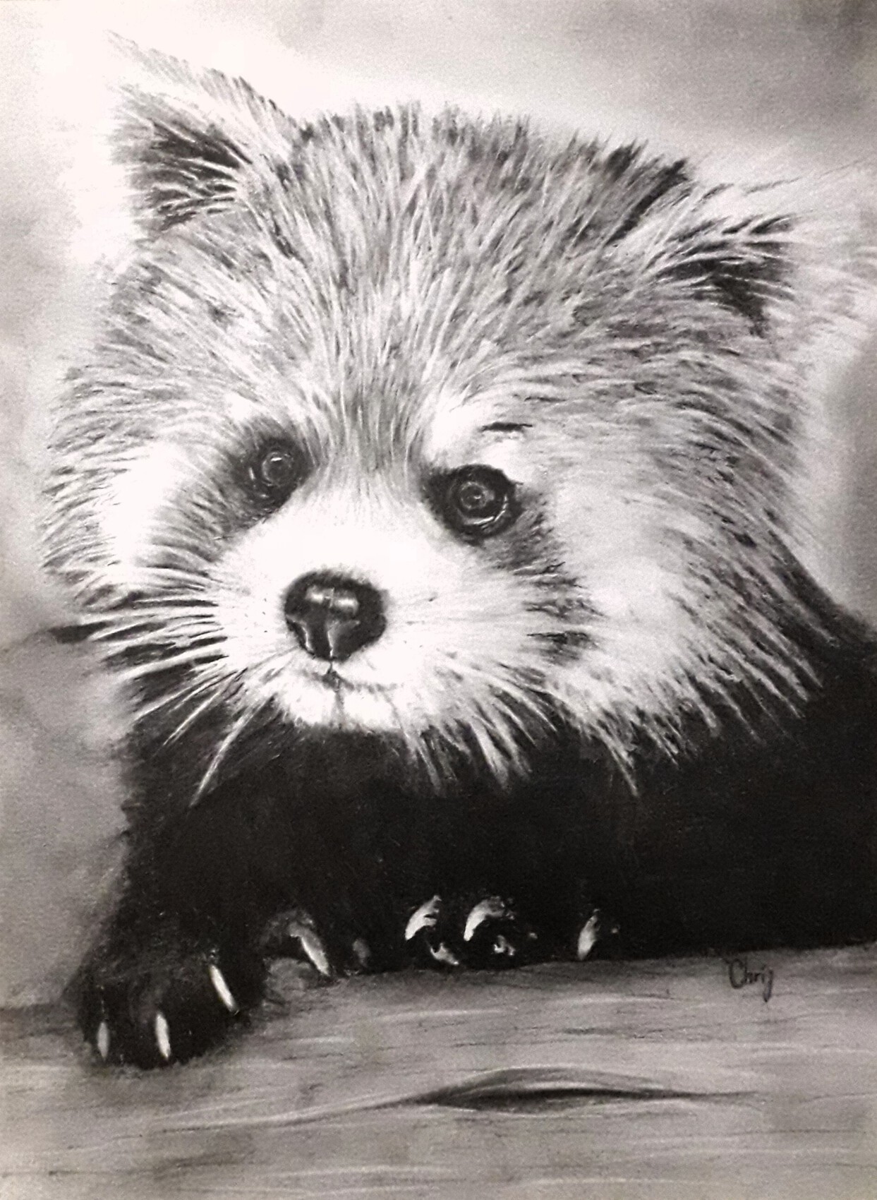 Dessin Panda éclatant "Roux"