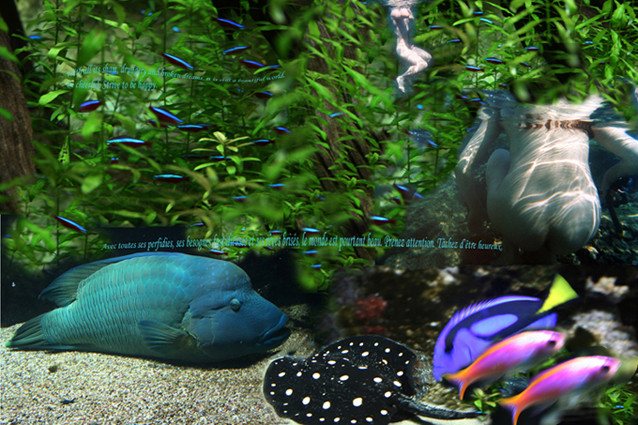 Sous L'eau Scan Vf Photo Sous l'eau - 123