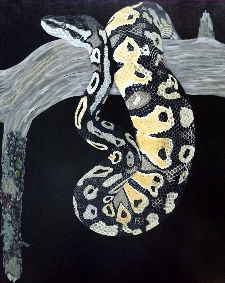 Peinture Python