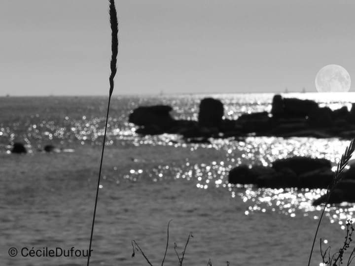 купить horizon на playstation 4 купить horizon на playstation 4