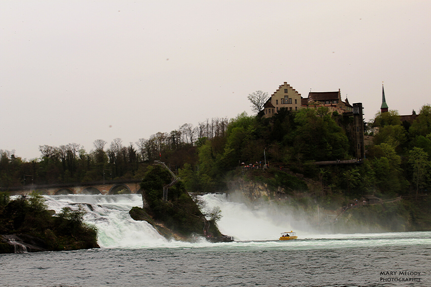 CHUTES DU RHIN visual data 4