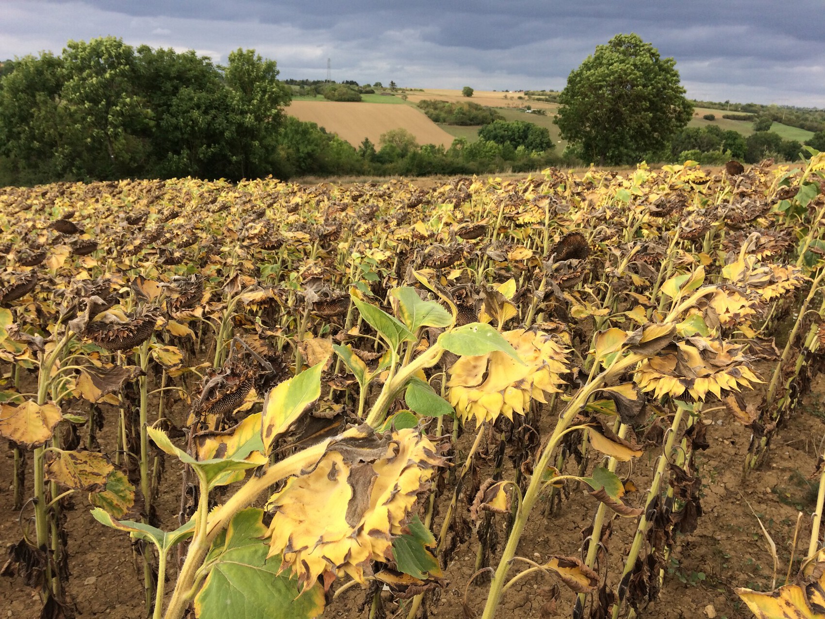 Photo C'est la fin de l'été