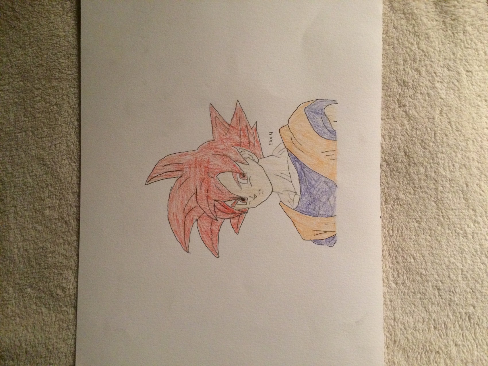 Peinture son goku super sayan god