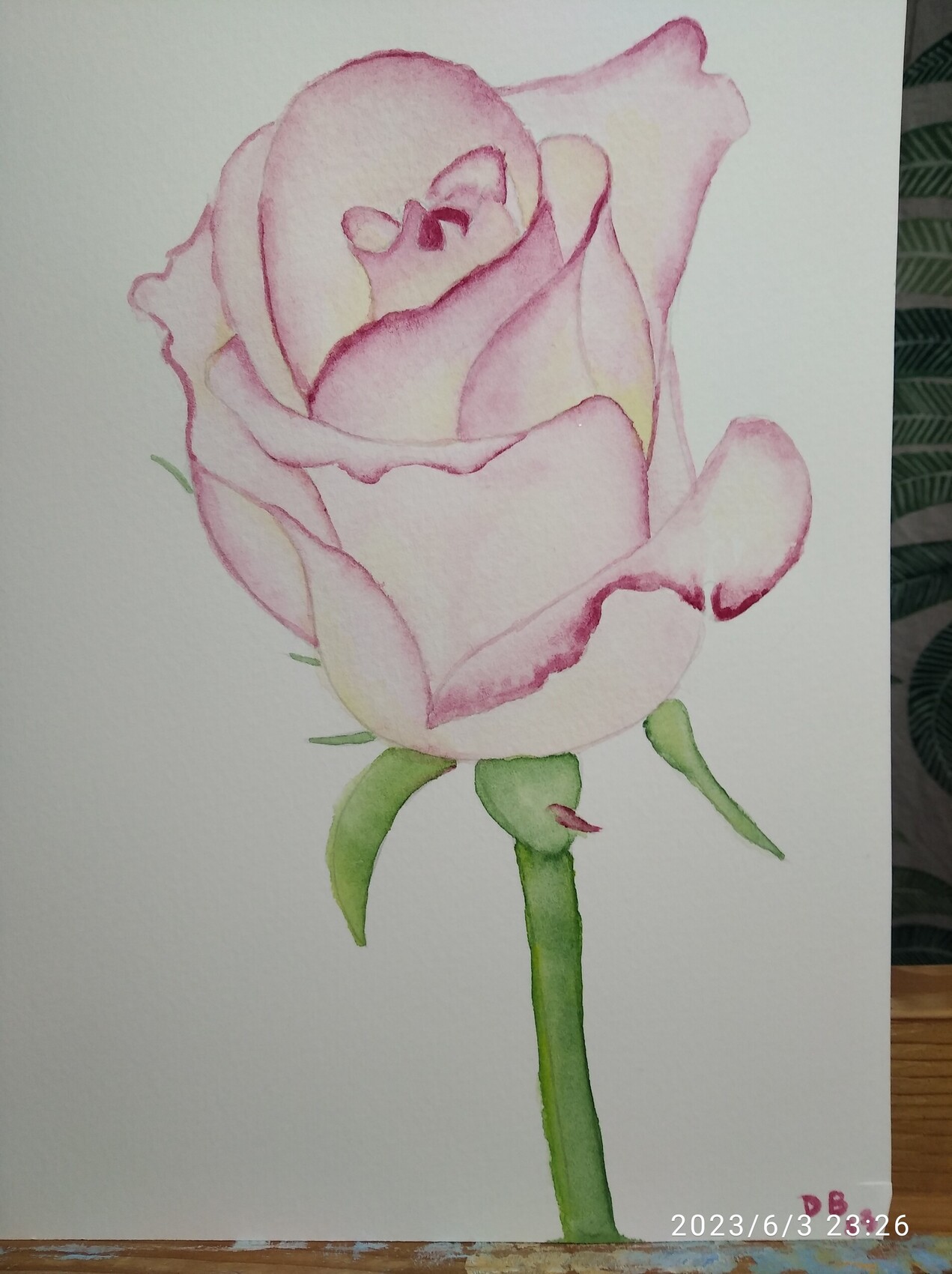 Peinture Seulement une rose