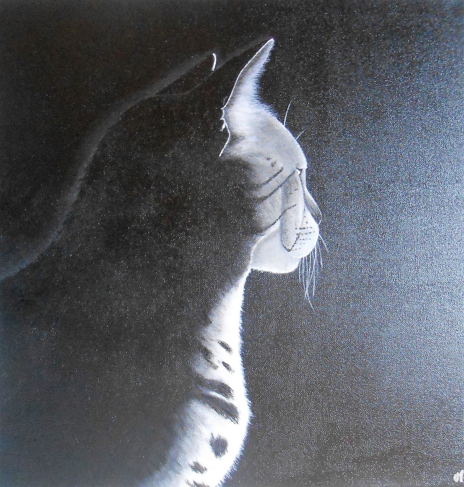 Peinture Le Chat Clair Obscur