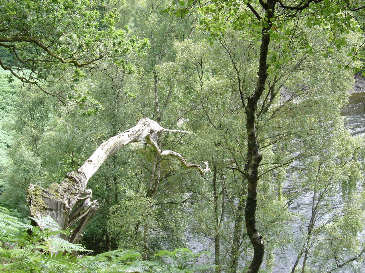 Photo Loch Katrine