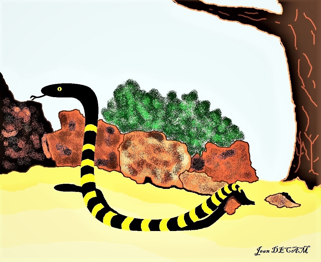 Serpent des sables