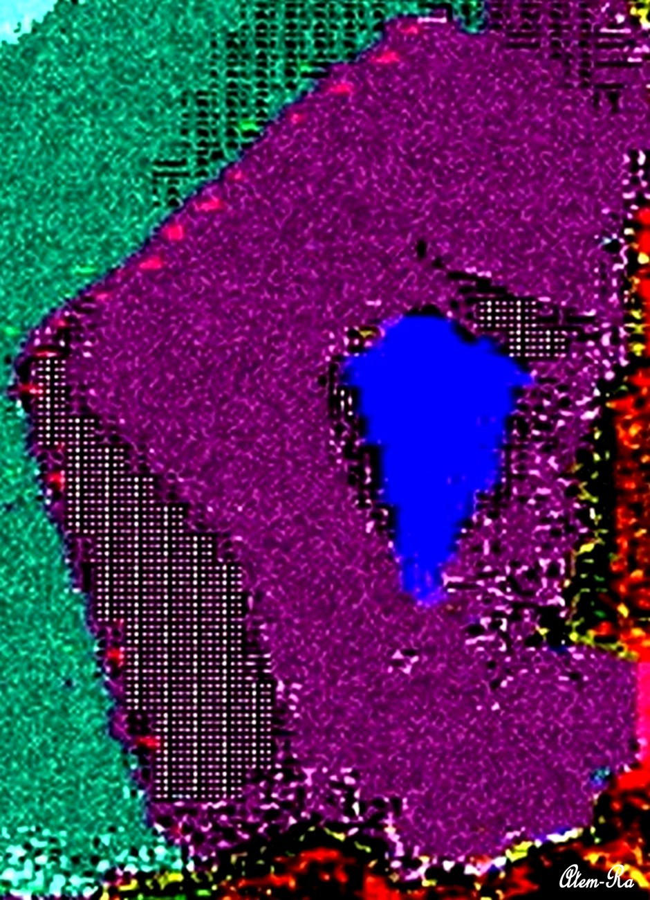 Photo au coeur du soleil