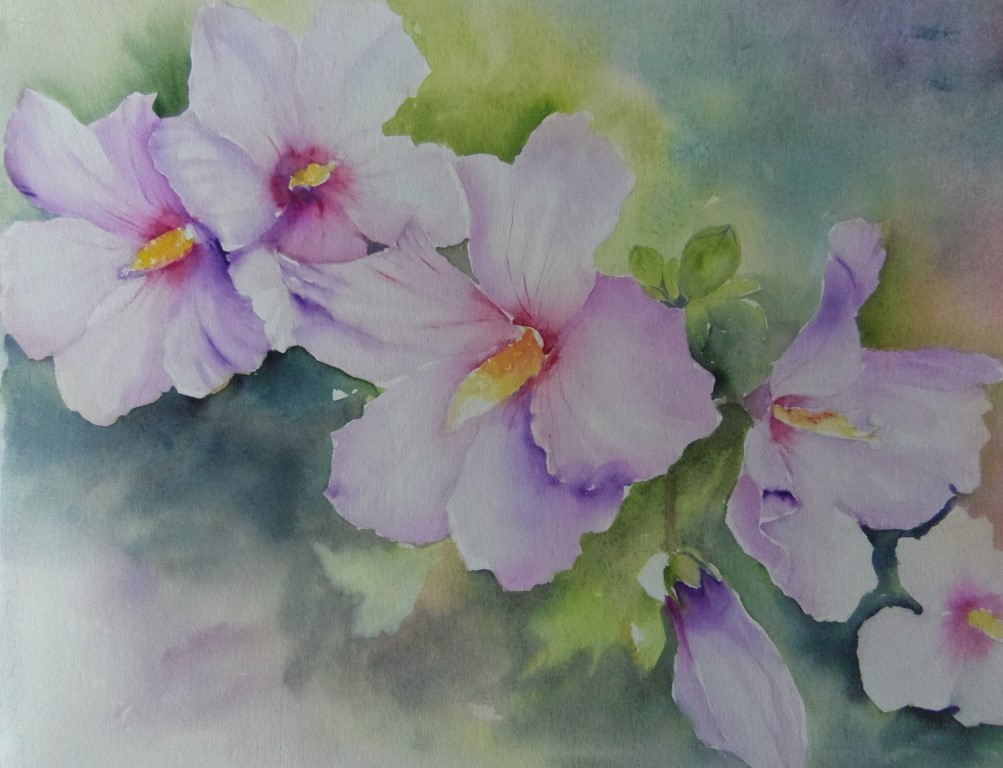 Quand Et Comment Tailler Les Altheas