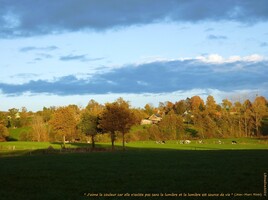 dans la Manche ,un petit coin de campagne.