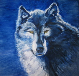 Loup bleu