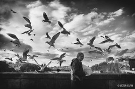 L'inconnu du pont qui donnait à manger aux oiseaux.